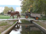 ../thumbnails/015-Equipage-Grenoble-juillet-2013-16.jpeg.small.jpeg