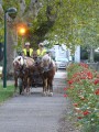 ../thumbnails/020-Equipage-Grenoble-juillet-2013-21.jpeg.small.jpeg
