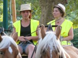 ../thumbnails/025-Equipage-Grenoble-juillet-2013-26.jpeg.small.jpeg