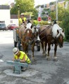 ../thumbnails/026-Equipage-Grenoble-juillet-2013-27.jpeg.small.jpeg