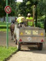 ../thumbnails/032-Equipage-Grenoble-juillet-2013-33.jpeg.small.jpeg