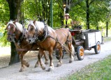 ../thumbnails/033-Equipage-Grenoble-juillet-2013-34.jpeg.small.jpeg