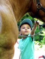 ../thumbnails/037-Equipage-Grenoble-juillet-2013-38.jpeg.small.jpeg