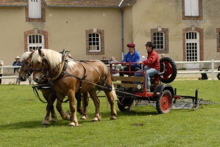 comparatif site de rencontre 2010