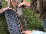 img023.jpeg.small.jpeg