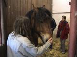 img033.jpeg.small.jpeg