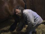 img035.jpeg.small.jpeg