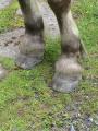 img041.jpeg.small.jpeg