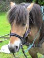img042.jpeg.small.jpeg