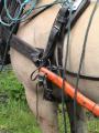 img043.jpeg.small.jpeg
