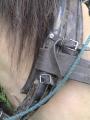 img056.jpeg.small.jpeg