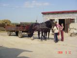 img023.jpeg.small.jpeg