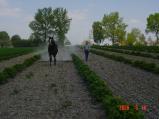 img005.jpeg.small.jpeg