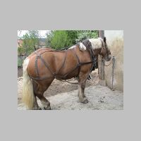 st050306.htm