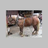 st050307.htm