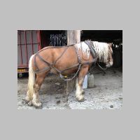 st050308.htm