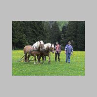 st050323.htm
