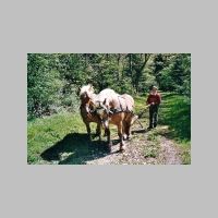 st050325.htm