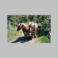 st050331.htm